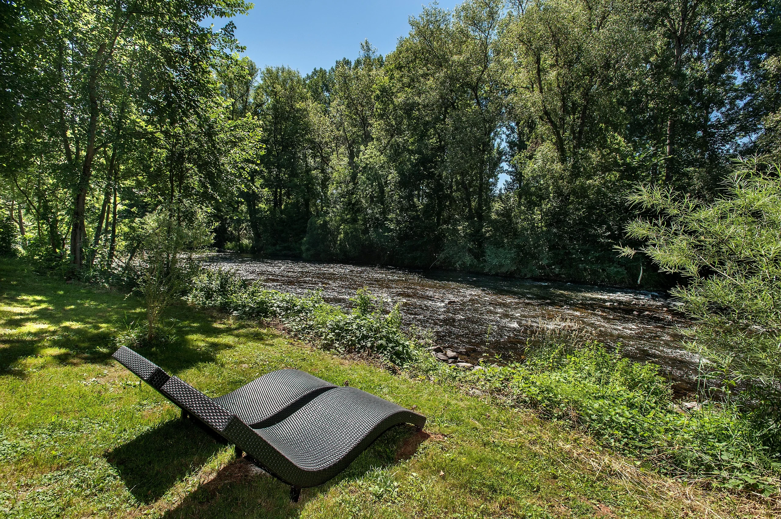 Transat noir dans une forêt verdoyante au bord d'un ruisseau