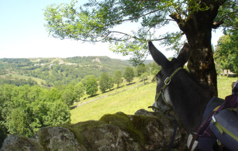 Séjour Lozère - parc animalier- Hôtel Les 2 Rives