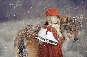 séjour loup du gévaudan en lozere