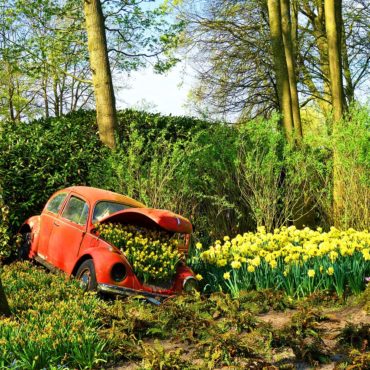 Voyager le printemps en lozère