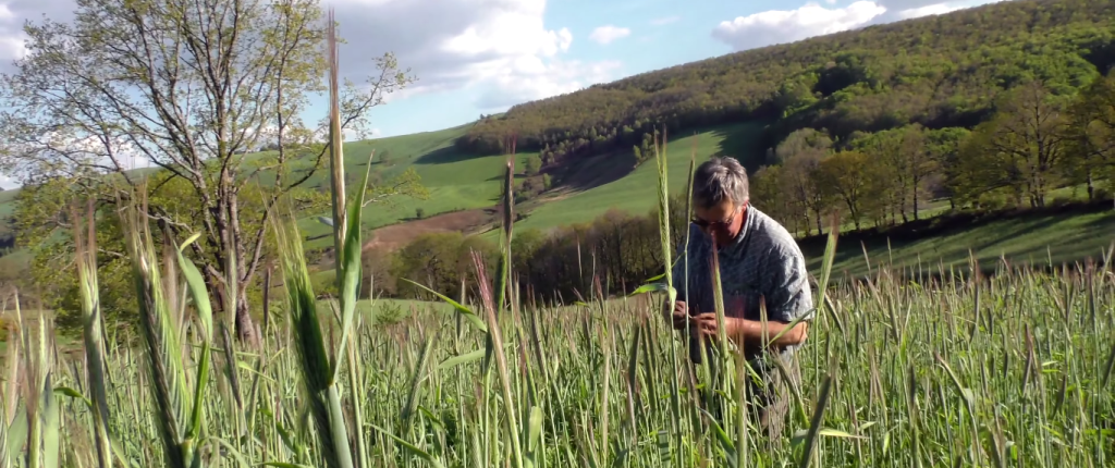 séjour visite à la ferme lozère