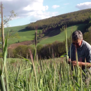 séjour visite à la ferme lozère