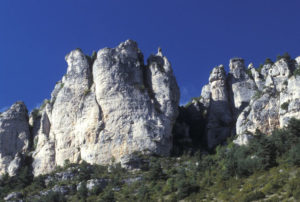 vautours tourisme lozere