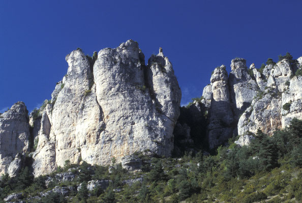 vautours tourisme lozere