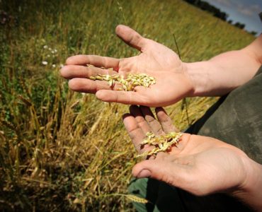 producteurs locaux lozère restaurant les 2 rives