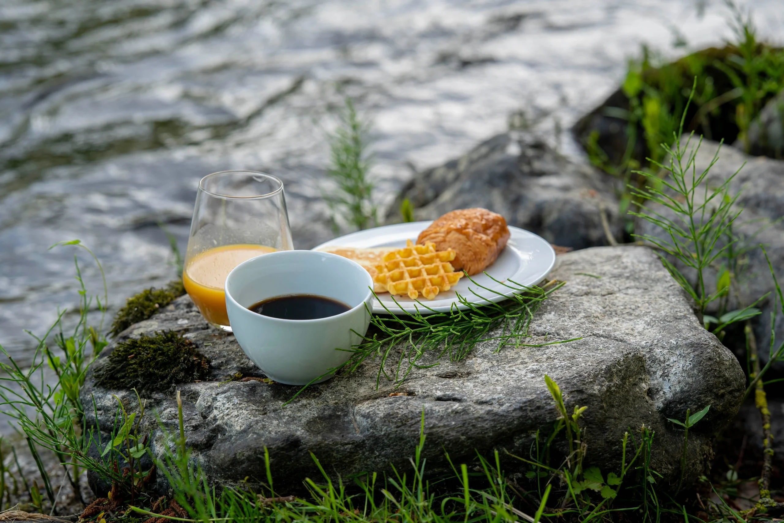 Petit-déjeuner extérieur près de la rivière