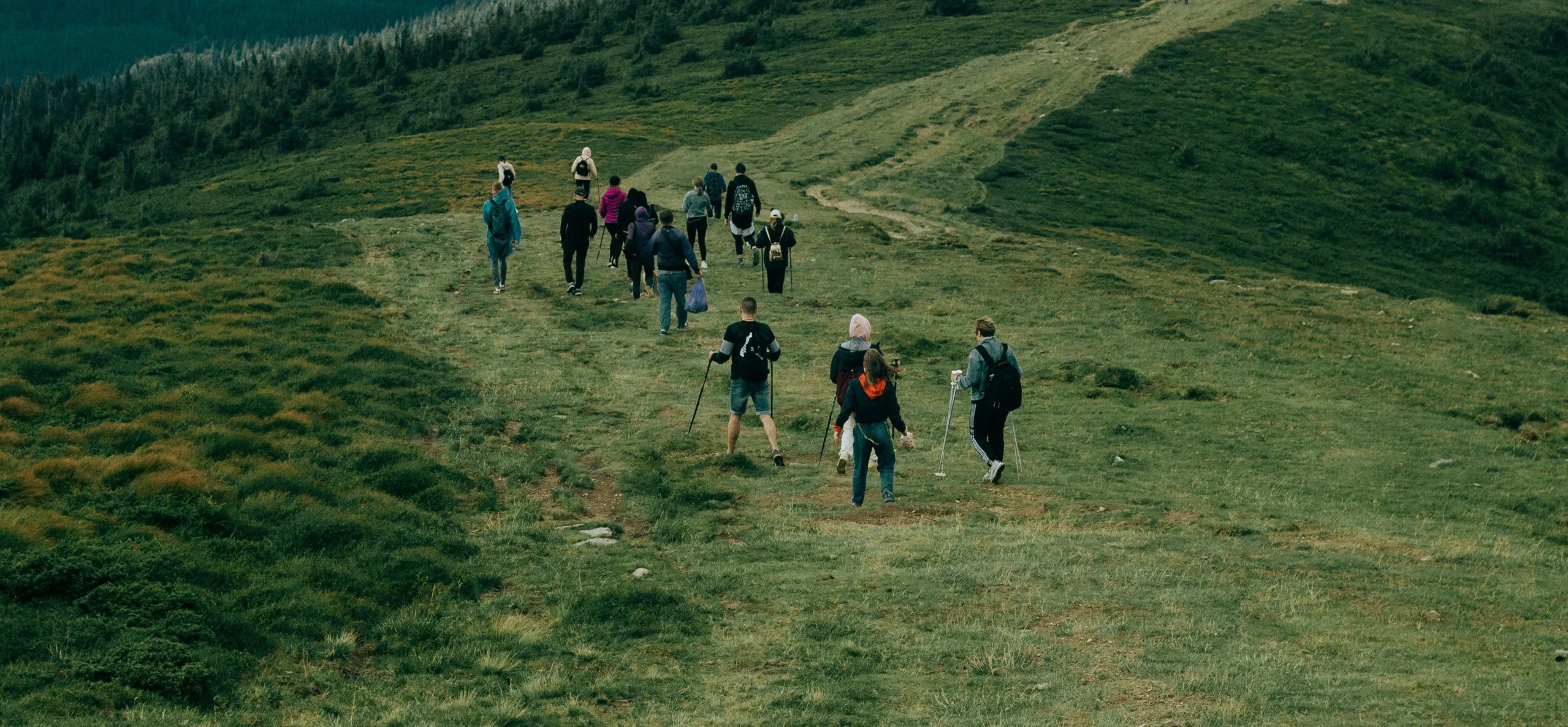 Randonneurs en montagne sur un sentier herbeux