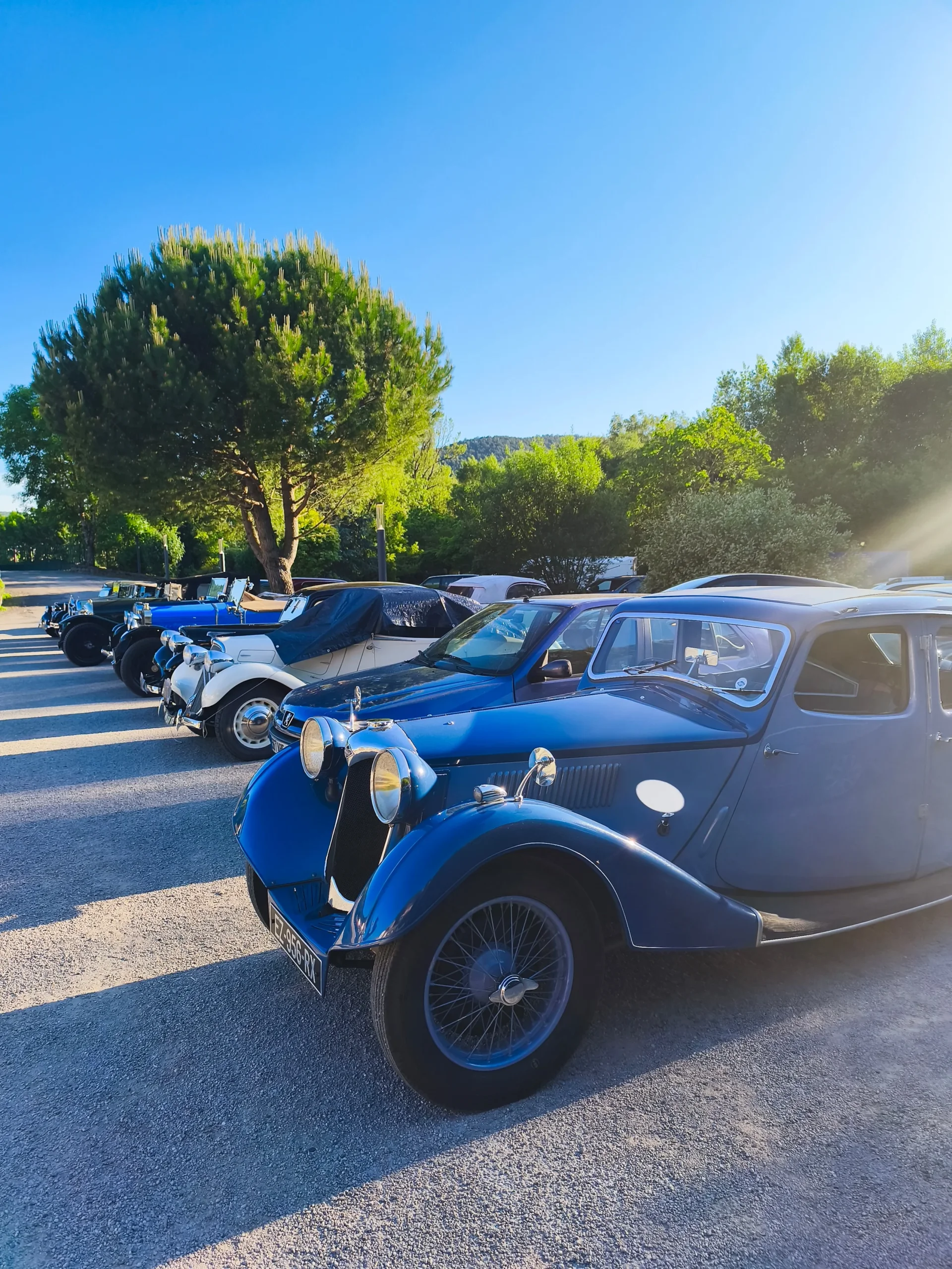 Voitures anciennes en exposition sous un ciel bleu
