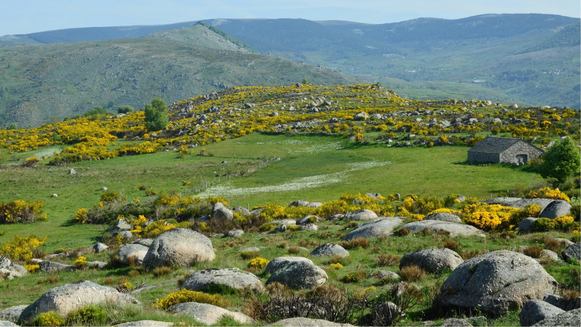Lozere